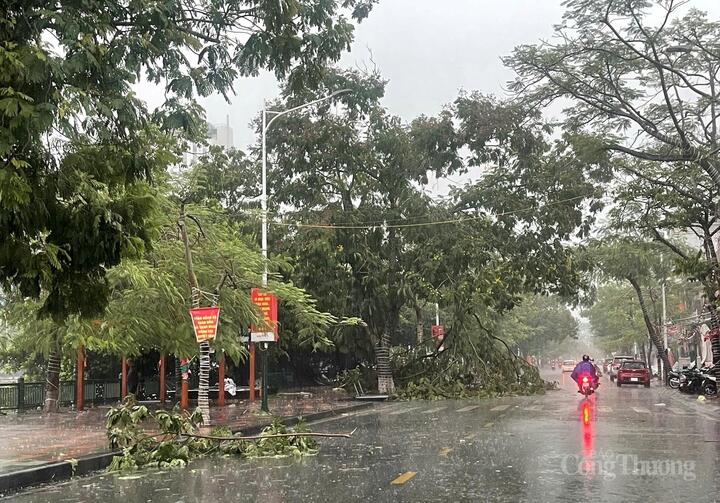 Một số tuyến phố trung tâm của TP. Hải Phòng xảy ra tình trạng cây xanh gẫy đổ