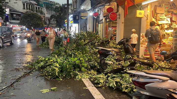 Nhiều cây xanh trên phố Hàng Gai bị gãy cành, bật gốc đổ ngổn ngang sau cơn giông lốc