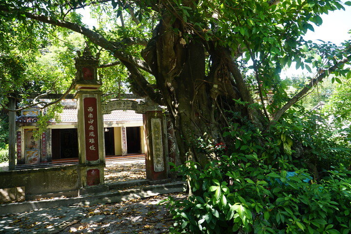 Đình làng Trung Sơn đã có lịch sử hơn 100 năm tuổi. Ảnh: Bình An