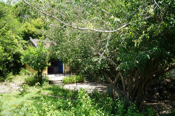 Rừng Trung Sơn còn nhiều di tích khác như miếu Bà Ngũ Hành, miếu âm linh. Ảnh: Bình An