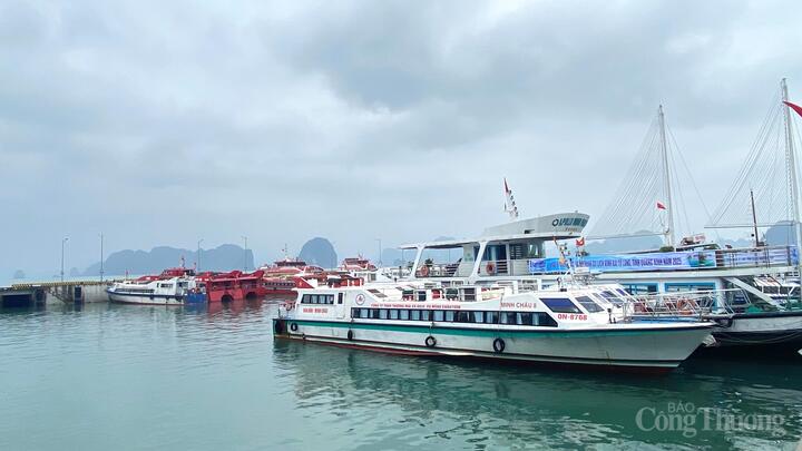 Từ ngày 20/7/2025, toàn bộ các tàu khách du lịch hoạt động trên vịnh Hạ Long, tỉnh Quảng Ninh, cũng như các tàu vận chuyển khách đi các tuyến đảo tạm ngừng cấp phép rời cảng để bảo đảm an toàn