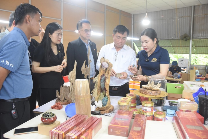 Các doanh nghiệp tham quan gian hàng