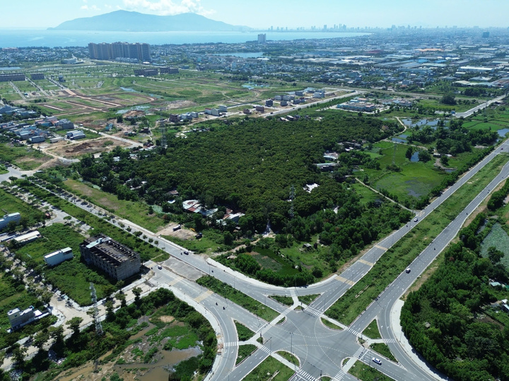 Khu rừng Trung Sơn sống sót qua chiến tranh bom đạn khốc liệt và vẫn giữ được màu xanh trong nhịp công nghiệp hóa, hiện đại hóa mạnh mẽ của thành phố Đà Nẵng hiện đại. Ảnh: Bình An