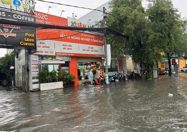 Các ý kiến chống ngập cho TP. Cần Thơ hiện đang rời rạc, chưa có sự phối hợp đồng bộ.