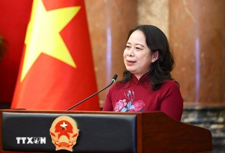 Phó Chủ tịch nước Võ Thị Ánh Xuân phát biểu tại buổi gặp mặt. Ảnh: Minh Đức/TTXVN