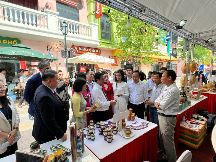 Chương trình OCOP đang ngày càng trở thành trụ cột trong chiến lược phát triển kinh tế nông thôn của Việt Nam. Ảnh: Ban tổ chức