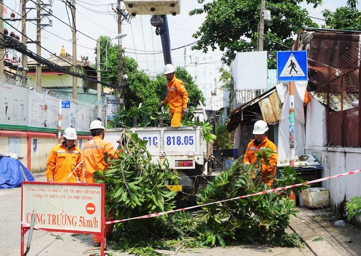Tỉa nhánh cây trước mùa mưa, bão của các đơn vị thuộc EVNHCMC. Ảnh: Thanh Minh.