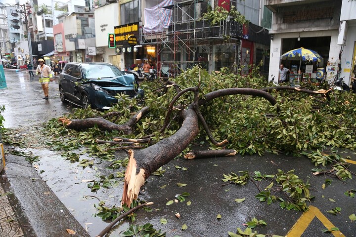 Do ảnh hưởng của cơn bão số 3, trong những ngày qua tại TP. Hồ Chí Minh đã xảy ra mưa lớn khiến nhiều cây xanh ngã đổ. Ảnh: Minh Khuê.