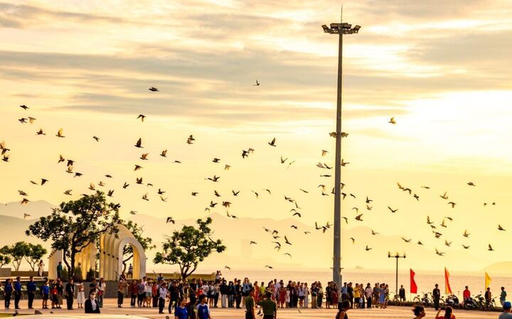 Nha Trang được ví là nơi đất lành chim đậu, đô thị vịnh đáng sống bậc nhất Việt Nam