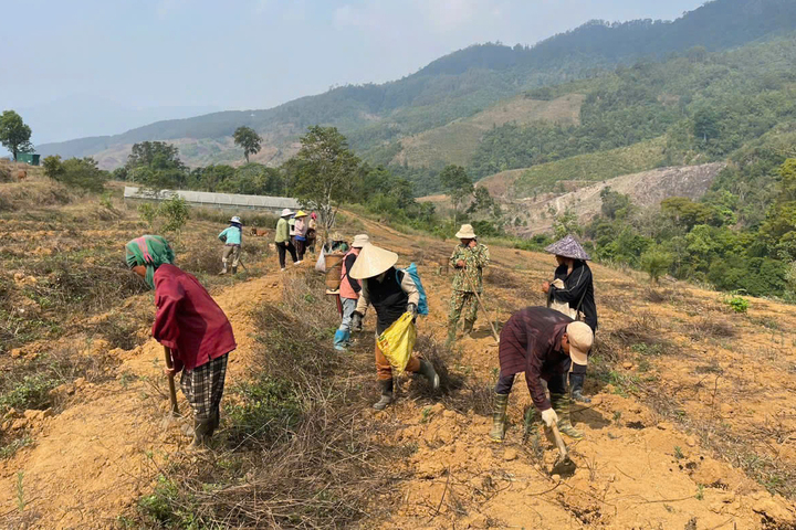 Đời sống của người dân xã Tu Mơ Rông được nâng lên, thu nhập bình quân đầu người đạt 32,55 triệu đồng/người/năm. Ảnh: Quảng Phú