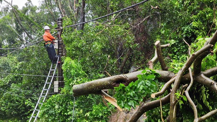 Đội Quản lý điện lực khu vực Sầm Sơn xử lý sự cố trong ngày 22/7. Ảnh: B.L.K