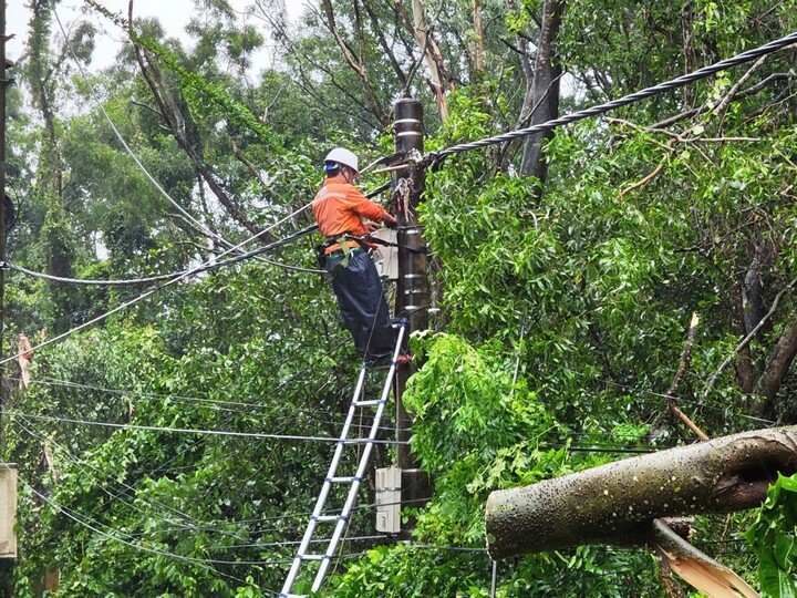 Công nhân Đội quản lý Điện lực khu vực Sầm Sơn xử lý sự cố lưới điện do bão số 3 gây ra