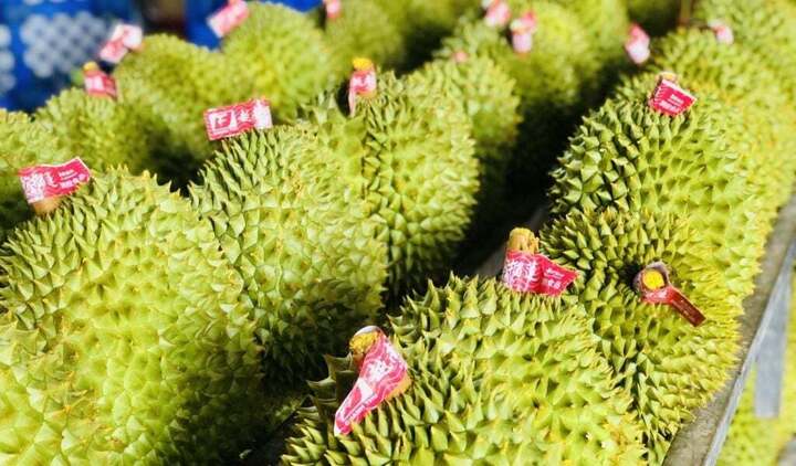 Trong tháng 6/2025 xuất khẩu hàng rau, quả Việt Nam bứt phá ấn tượng với sự phục hồi của ngành hàng sầu riêng