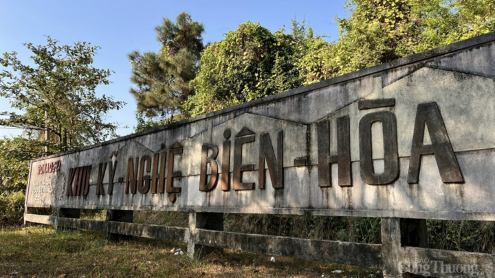 Khu công nghiệp Biên Hòa 1 là khu công nghiệp lâu đời nhất Việt Nam được thành lập từ năm 1963