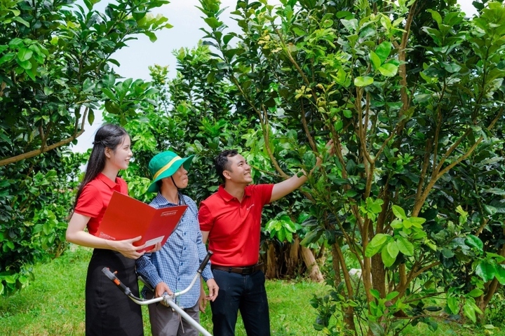 Phát triển kinh tế tư nhân là chủ trương lớn mang tính đột phá của Đảng và Nhà nước trong định hướng dài hạn về phát triển kinh tế đất nước