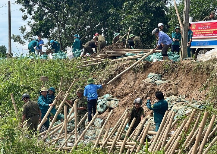 Lực lượng chức năng tiến hành đóng cọc, dựng lưới thép, đắp cơ... để gia cố tuyến đê sông Mã đoạn qua xã Định Hòa. Ảnh: Quốc Huy