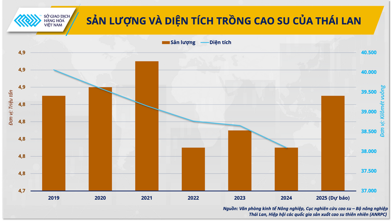 Sản lượng và diện tích trồng cao su của Thái Lan