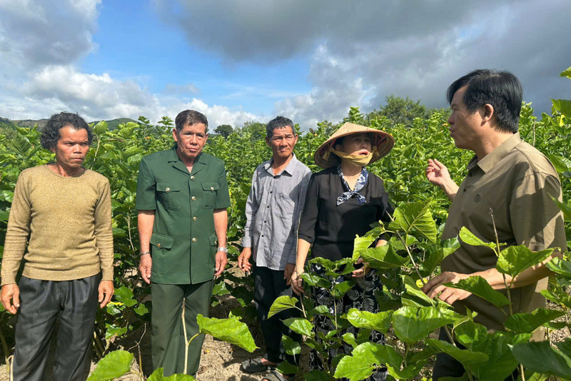 Trong nông nghiệp, người dân xã Bờ Y đang chuyển mình theo hướng hiện đại hóa. Ảnh: Quảng Phú