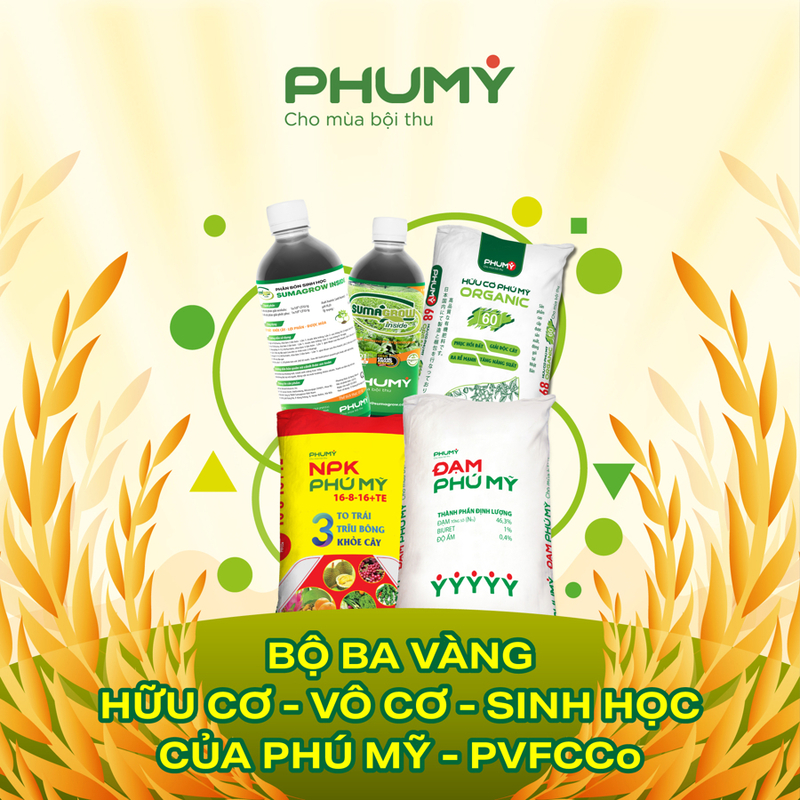 Bộ ba vàng của Phú Mỹ (Ảnh: PVFCCo - Phú Mỹ)