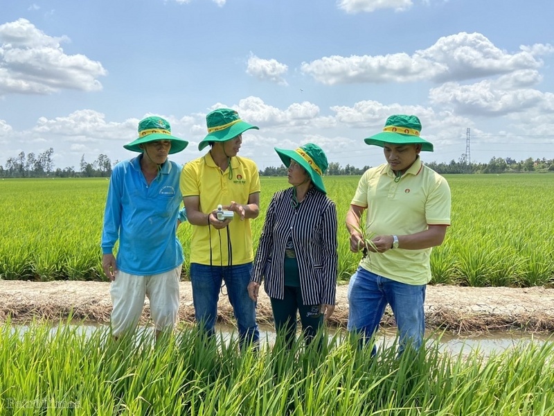 Hai thương hiệu phân bón của Petrovietnam còn mang theo niềm tin, sự chủ động và an tâm, tự tin canh tác cho bà con nông dân. (Ảnh: Kỹ sư Phân bón Cà Mau tư vấn kỹ thuật canh tác cho bà con nông dân) (Ảnh: Petrovietnam)
