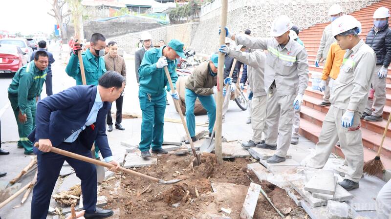 Trồng cây xanh tạo cảnh quan môi trường tại Công ty Nhiệt điện Cẩm Phả, Tổng công ty Điện lực TKV