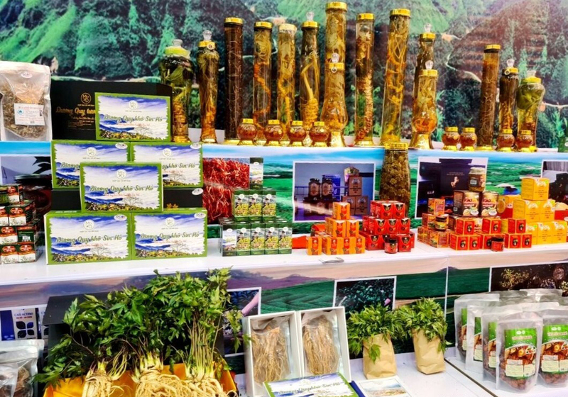 Đẩy mạnh xúc tiến thương mại sâm và dược liệu của tỉnh Lai Châu