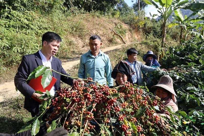 Các chương trình nghề tập trung vào lĩnh vực sản xuất nông nghiệp như kỹ thuật trồng trọt, chăn nuôi, sơ chế bảo quản nông sản. Ảnh: Văn Ngọc