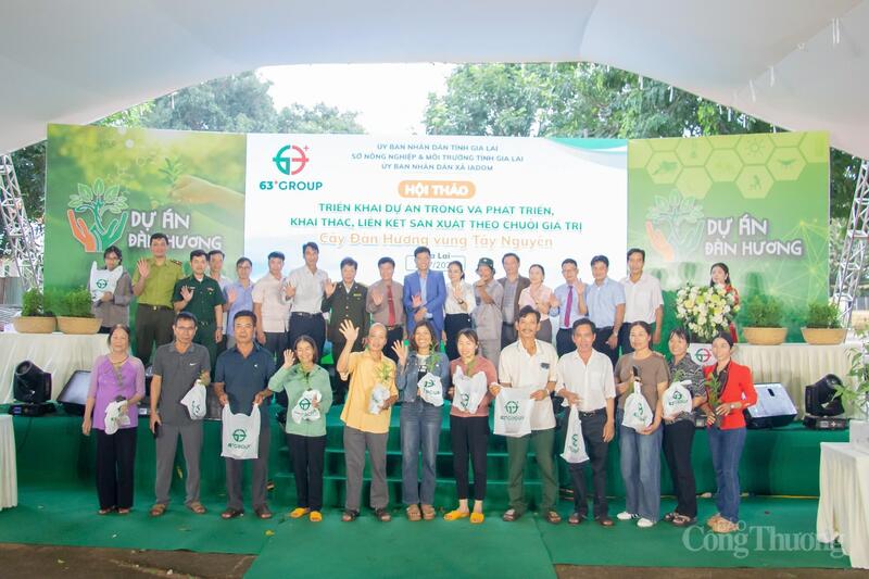 Công ty tặng cây giống đàn hương cho nông dân. Ảnh: Hiền Mai
