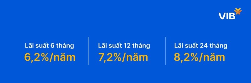 Vay mua nhà không còn là áp lực – Linh hoạt thiết kế gói vay theo nhu cầu của bạn - 3