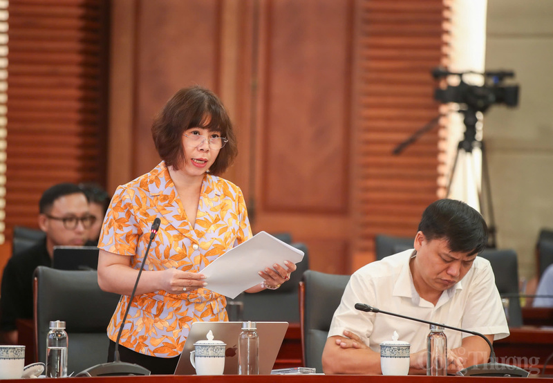 Đại diện UBND thành phố Hải Phòng nêu rõ các khó khăn về tổ chức bộ máy, phân bổ tài chính, nhân lực.