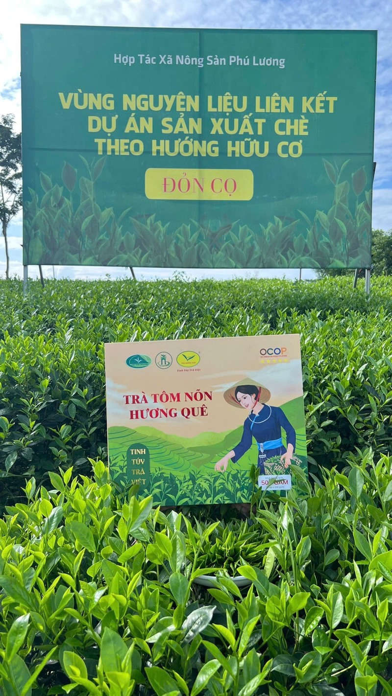 Trà tôm nõn Huơng Quê - sản phẩm đạt OCOP 5 sao cấp Trung ương. Ảnh: NVCC