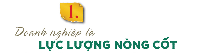 Longform | Thương hiệu chè Phú Thọ: Giá trị kinh tế từ bàn tay đồng bào - 1