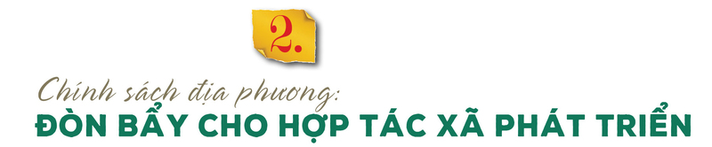 Longform | Thương hiệu chè Phú Thọ: Giá trị kinh tế từ bàn tay đồng bào - 5