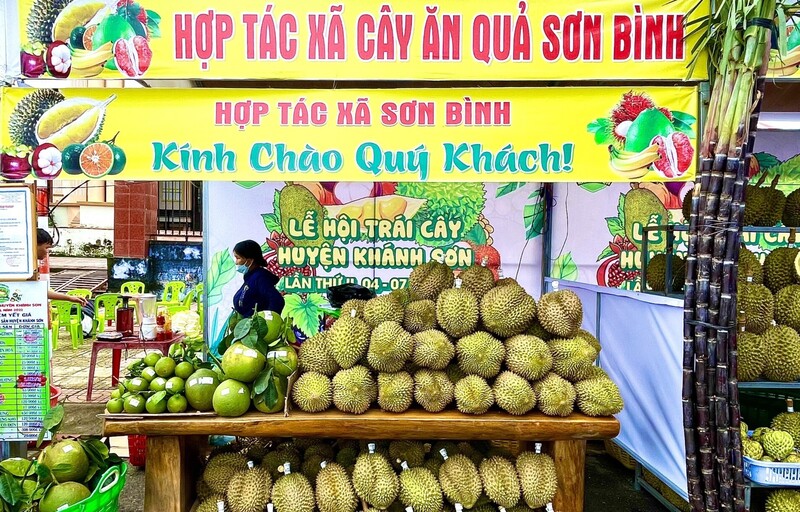 Những mô hình liên kết đã giúp nông sản miền núi Khánh Hòa thoát khỏi tình trạng sản xuất nhỏ lẻ, tự phát