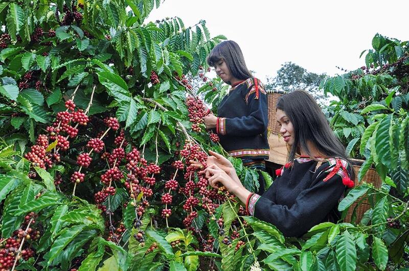Lâm Đồng dành gần 300 tỷ đồng thúc đẩy phát triển vùng đồng bào dân tộc thiểu số