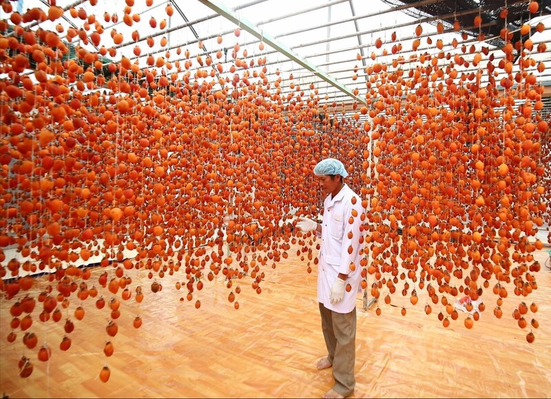 Chú trọng đầu tư cho sản xuất, tiêu thụ sản phẩm