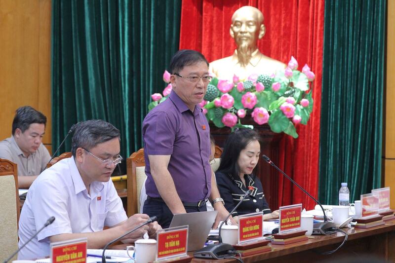 Phó Chủ nhiệm Ủy ban Công tác đại biểu Nguyễn Tuấn Anh phát biểu.Ảnh: Hồ Long