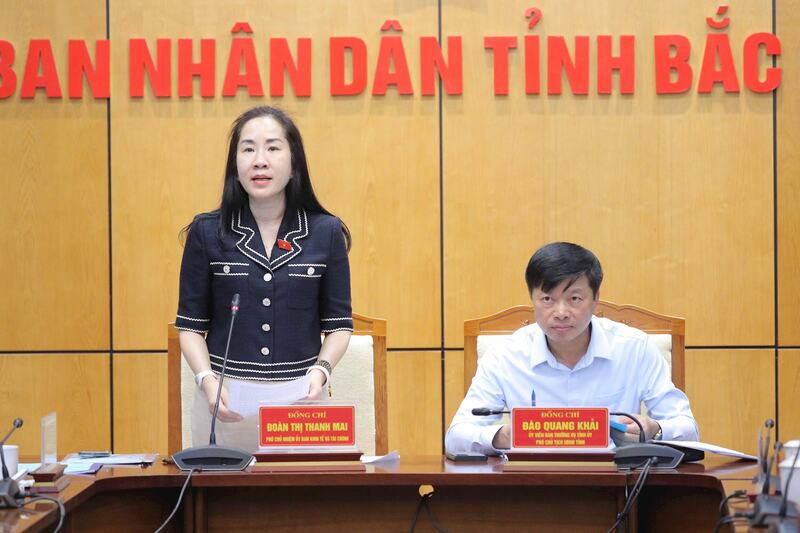 Phó Chủ nhiệm Ủy ban Kinh tế và Tài chính Đoàn Thị Thanh Mai phát biểu.Ảnh: Hồ Long