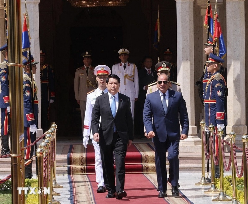 Tổng thống Abdel Fattah El-Sisi đón Chủ tịch nước Lương Cường. Ảnh: Lâm Khánh/TTXVN
