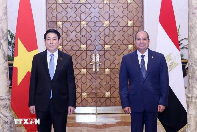 Chủ tịch nước Lương Cường và Tổng thống Ai Cập Abdel Fattah El-Sisi. Ảnh: Lâm Khánh/TTXVN