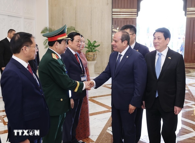 Chủ tịch nước Lương Cường giới thiệu với Tổng thống Ai Cập Abdel Fattah El-Sisi các đại biểu Việt Nam. Ảnh: Lâm Khánh/TTXVN