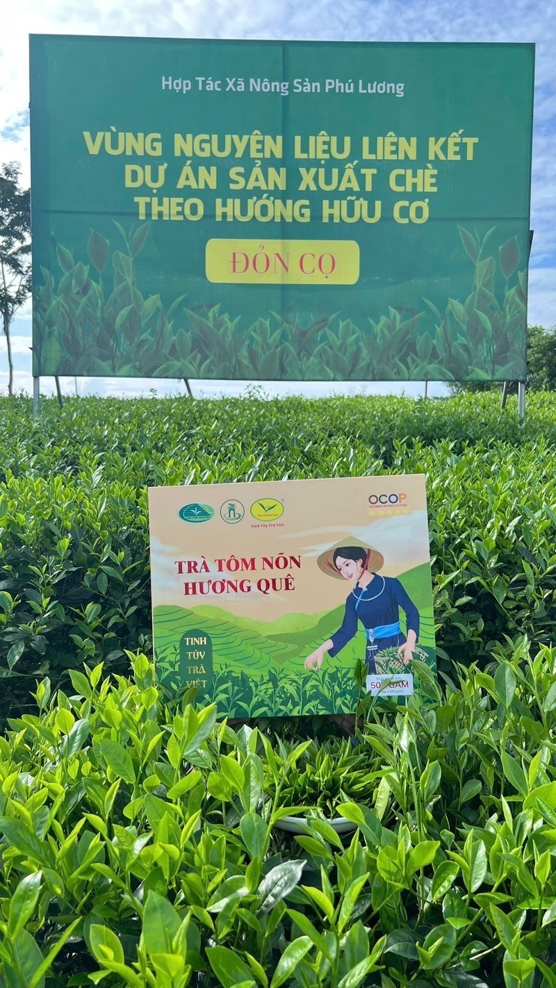 Muốn xuất khẩu, phải bắt đầu từ vùng nguyên liệu - 2