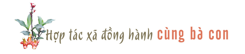 Longform | Bà con đồng bào dân tộc chung tay nâng tầm thương hiệu miến dong Quảng Ninh - 5