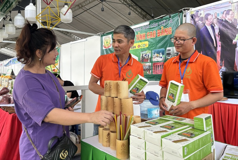 Từ những luống rau củ bình dị ở Đông Anh, ống hút ECOS đã chứng minh rằng sáng tạo có thể nảy mầm từ chính ruộng đồng quê hương. Ảnh: Hà Minh
