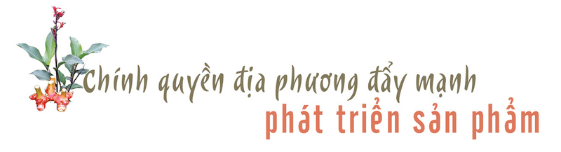 Longform | Bà con đồng bào dân tộc chung tay nâng tầm thương hiệu miến dong Quảng Ninh - 8
