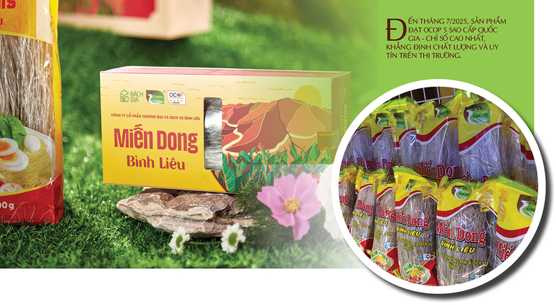 Longform | Bà con đồng bào dân tộc chung tay nâng tầm thương hiệu miến dong Quảng Ninh - 4