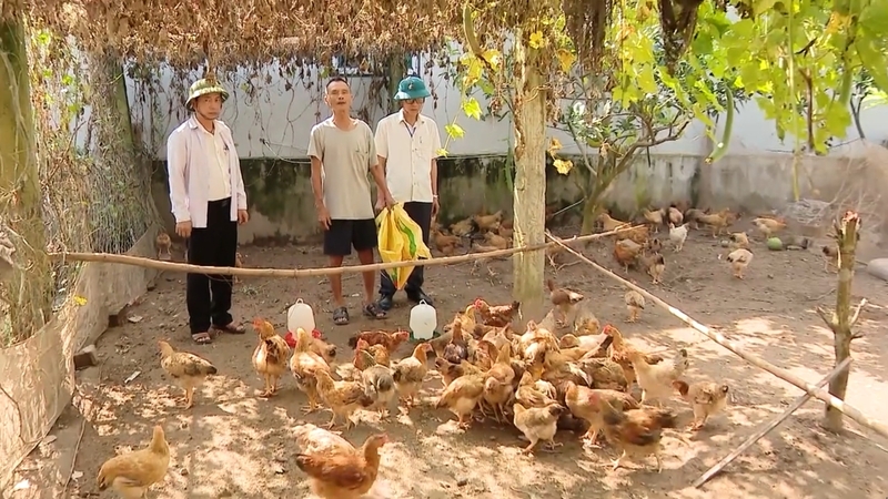 Hỗ trợ người dân phát triển sinh kế. Ảnh: BNB