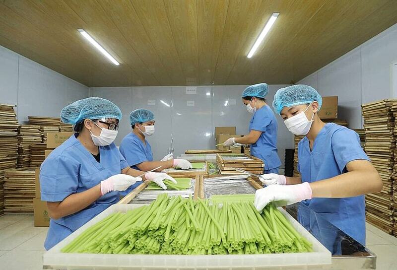 Chuyển đổi kép mang lại cơ hội cho doanh nghiệp. Ảnh: Hoàng Quý