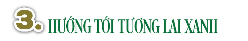 Longform | Chè Shan tuyết Tủa Chùa: Sinh kế bền vững nơi núi rừng Tây Bắc - 7