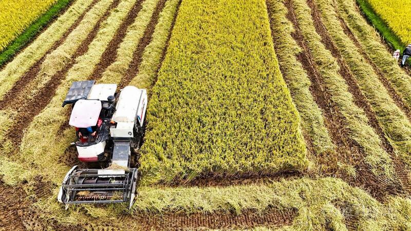 Xã Đăk Hà tập trung phát triển nông nghiệp ứng dụng công nghệ cao